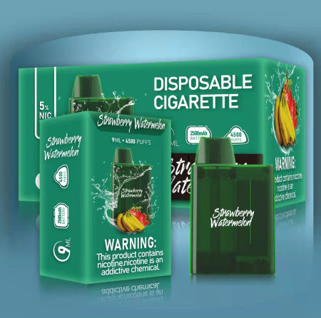 Fournisseur électronique de Kit Hess Vapor Pen de vapeur d'OEM de la nicotine 4500puff 650 Mah Mesh Coil du vaporisateur 5% de cigarette