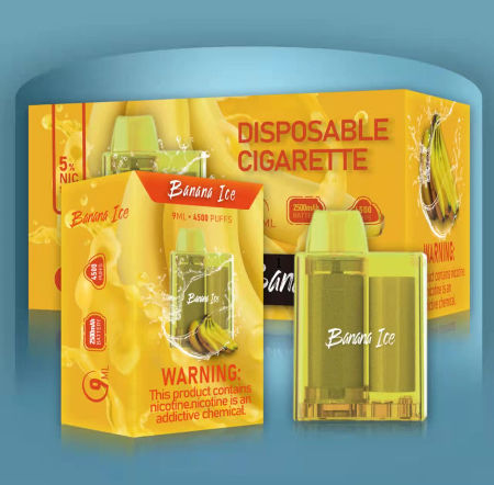 Fournisseur électronique de Kit Hess Vapor Pen de vapeur d'OEM de la nicotine 4500puff 650 Mah Mesh Coil du vaporisateur 5% de cigarette